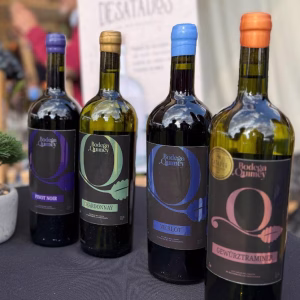🍷 Pinot Noir: elegancia en cada copa
